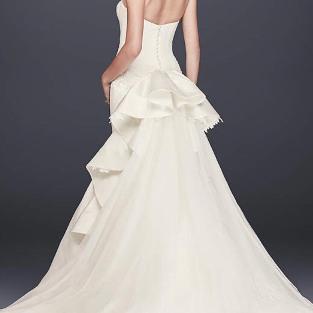 Truly Zac Posen Wedding Dress - Picture 7 of 8